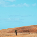 Boa Vista